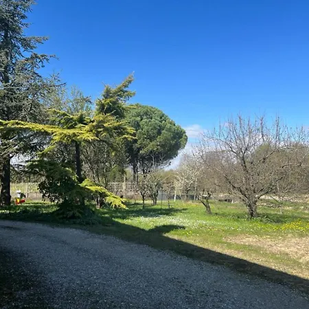 Airport Venice Diego 3*