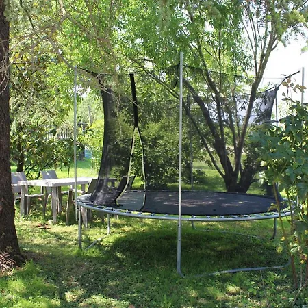 Bed & Breakfast Airport Venice Diego Tessera